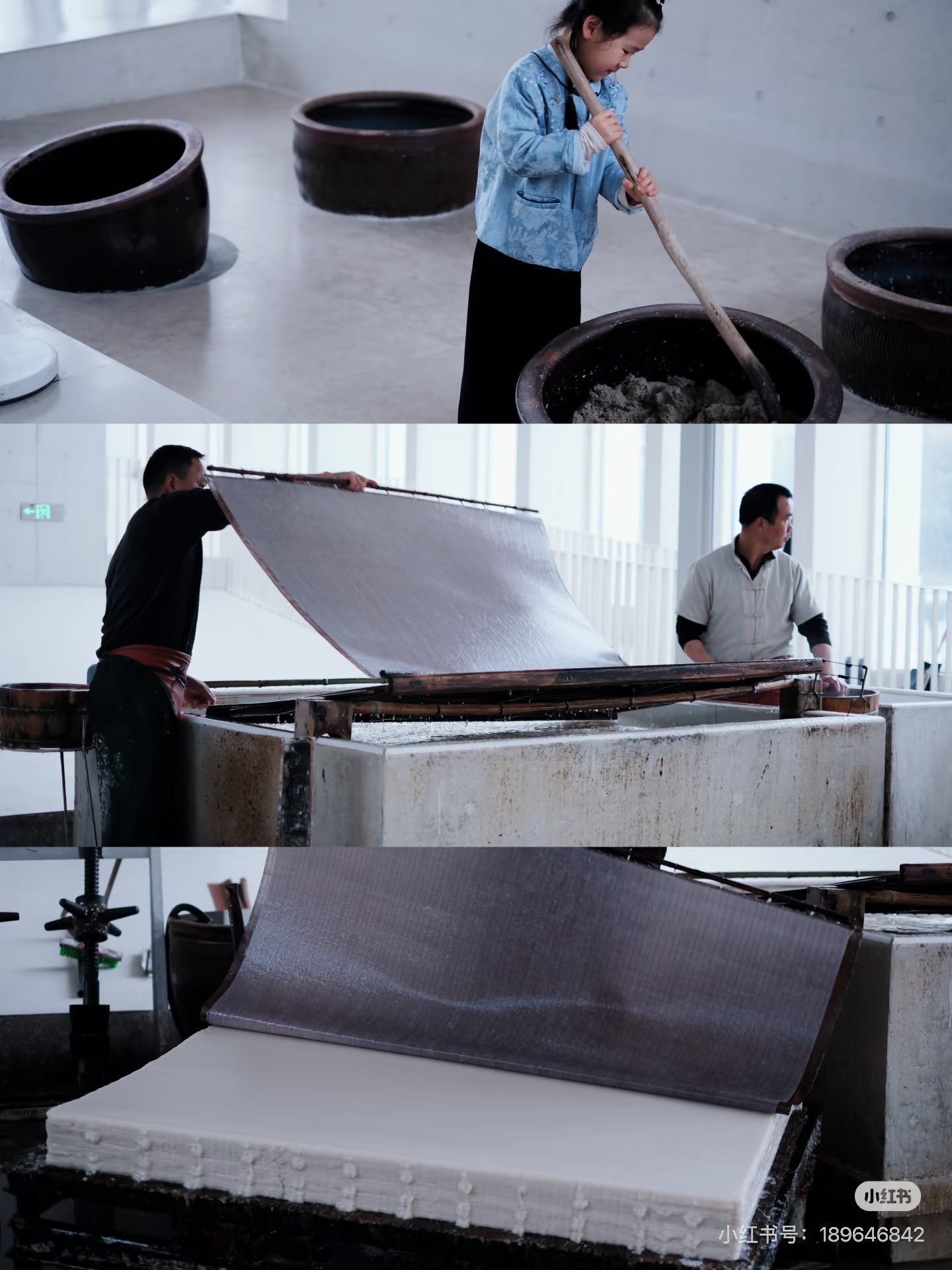 宣纸制作工艺展示